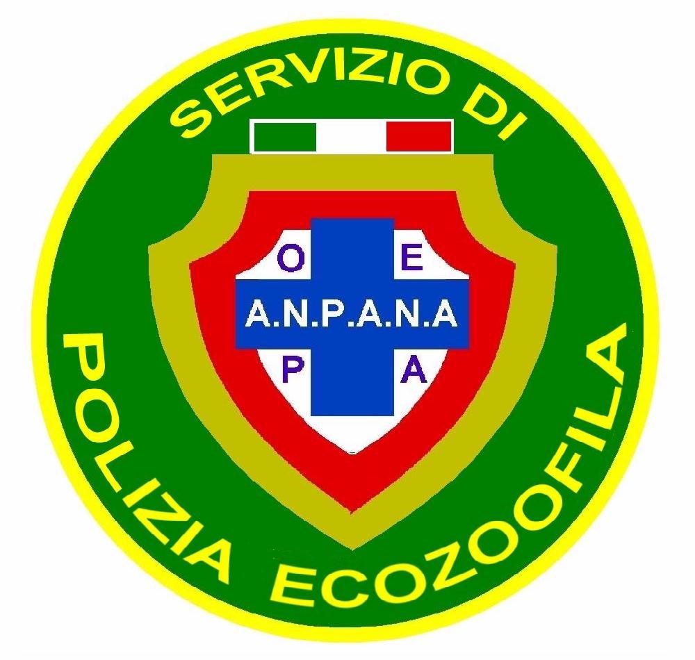 SERVIZIO_DI_VERDE SERVIZIO_DI_VERDE